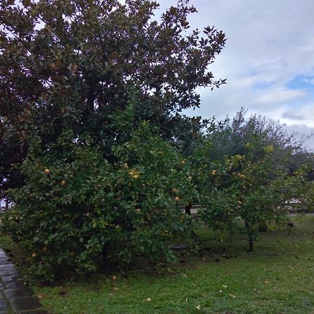 Villa Pellicano -Il Nido Castellammare di Stabia Bagian luar foto